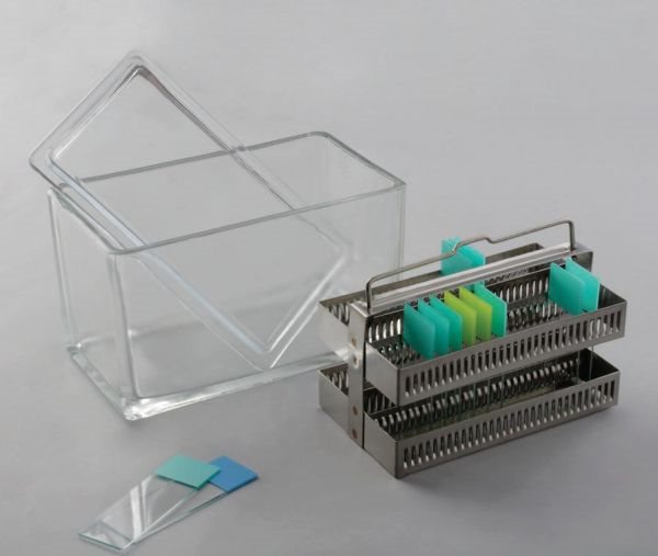 Емкость стеклянная для окраски микропрепаратов на предметных стеклах 95*165*75мм, на 60 стекол (10)
